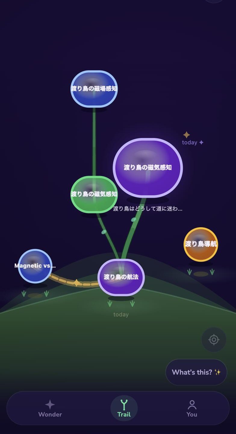 Acorn — the trail view, a map of one curiosity