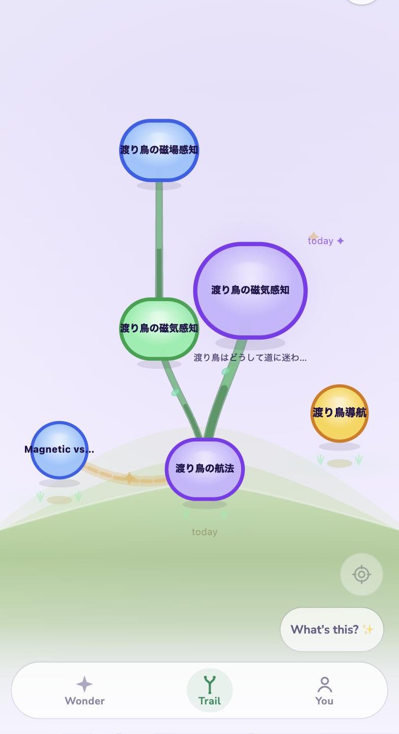 Acorn — the trail view, a map of one curiosity