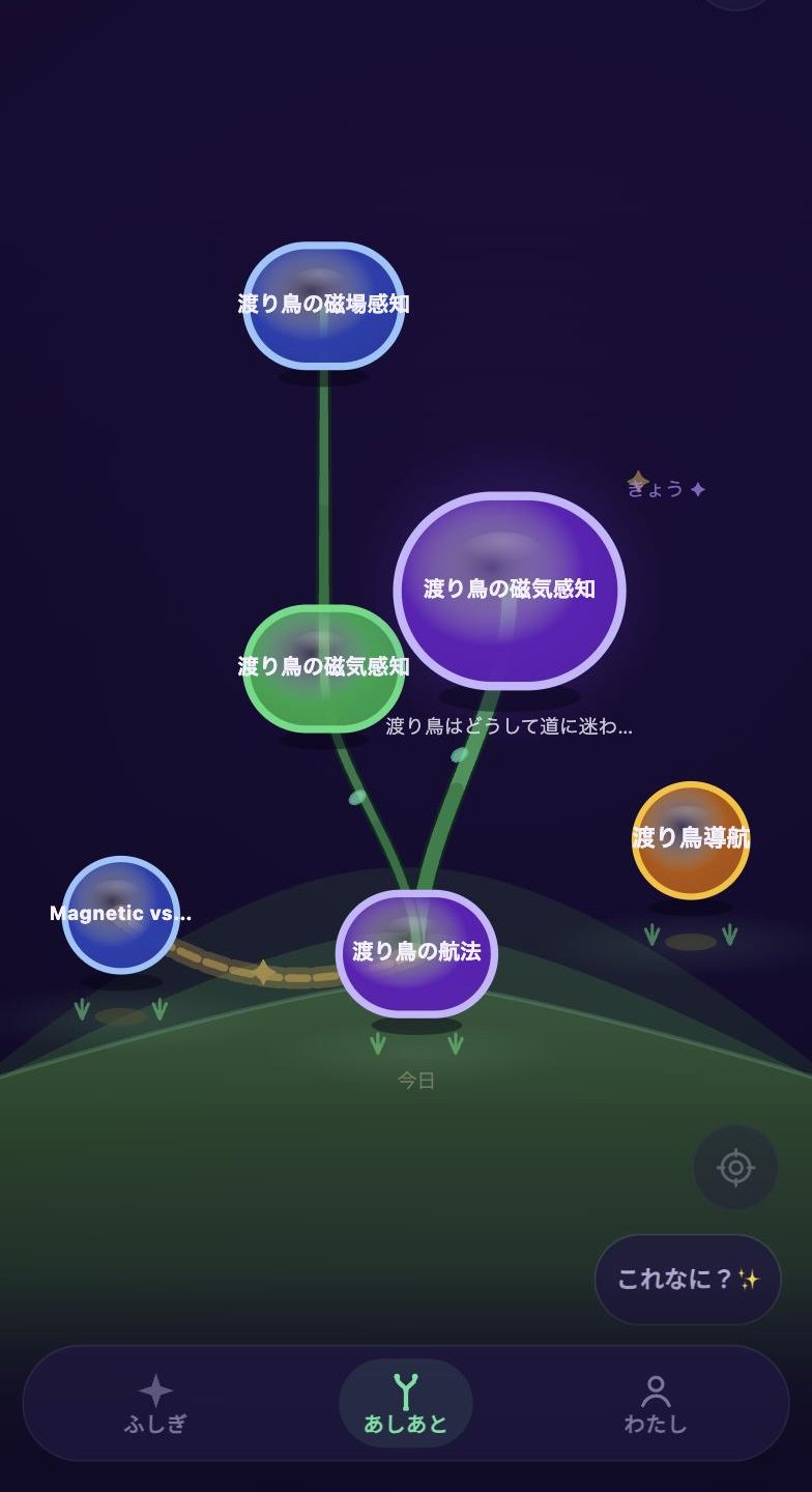 Acorn——トレイル（小径）の全体図