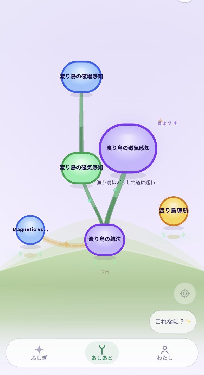 Acorn——トレイル（小径）の全体図